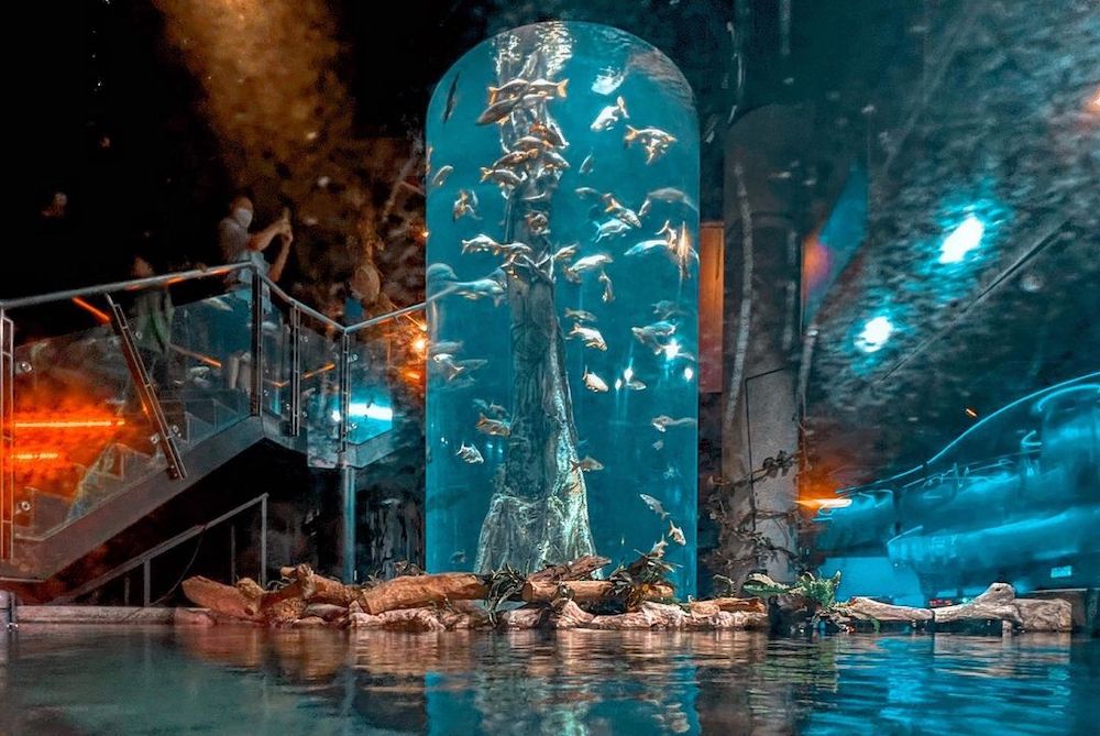 How to Go to Aquaria KLCC Parking, Train, and Bus Pelago