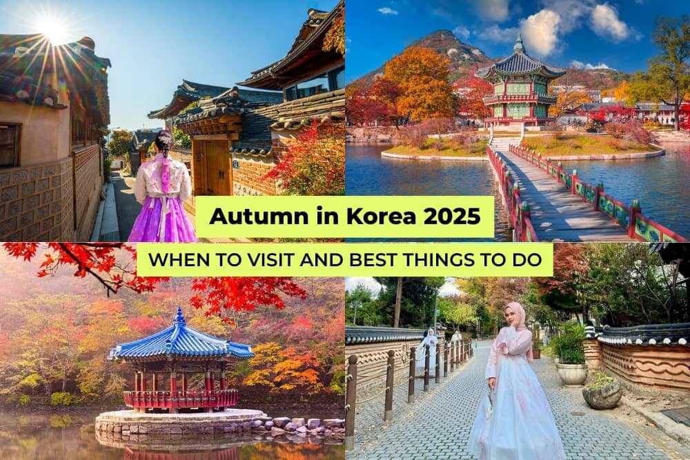 Schon autumn 2023 09 キムミョンス Autumn / Winter 2023-2024
