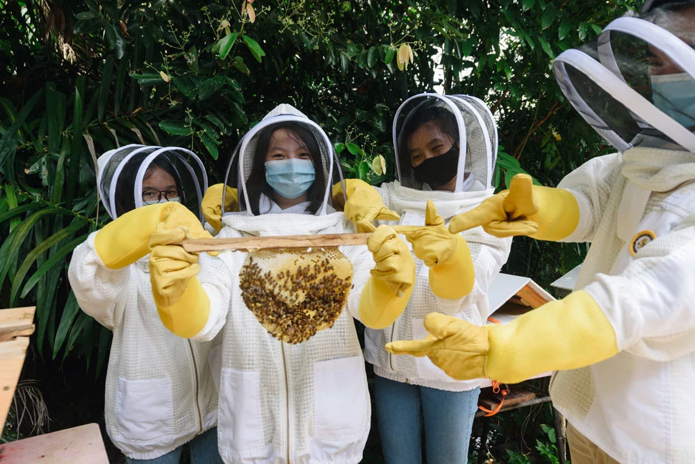 4 kids wearing a bee keeping suit while holding a bee hive