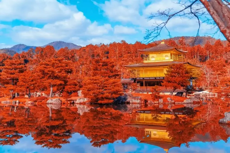 7 Top Kyoto Temple Experiences to Find Your Zen - Pelago