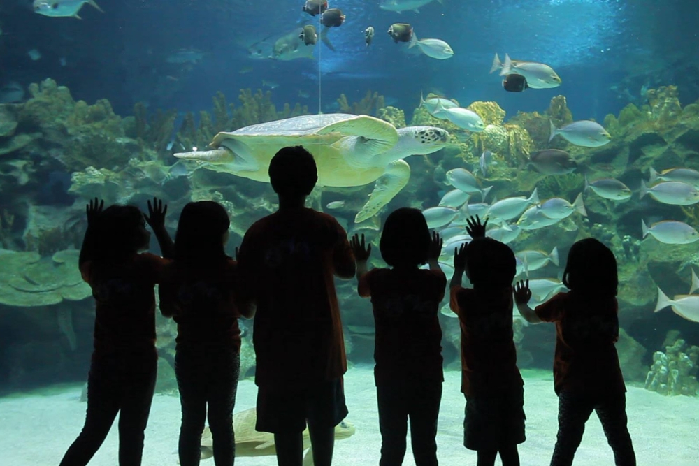 Aquaria KLCC A MapBased Guide for FirstTime Visitors Pelago