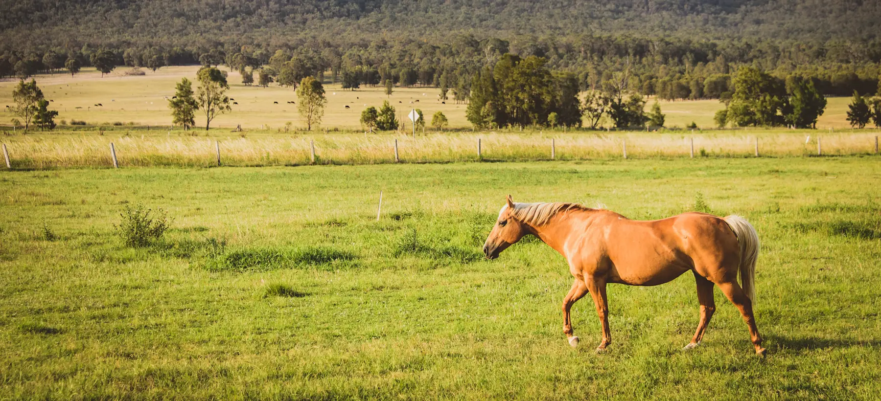 Hunter Valley