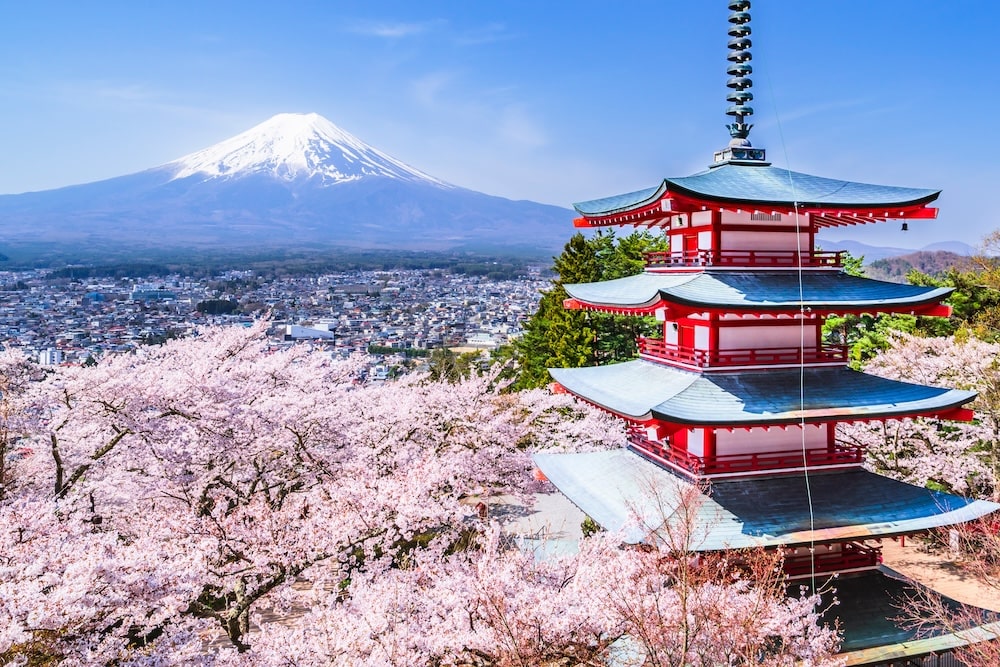 19 Epic Day Trips from Tokyo to Deepen Your Love for Japan