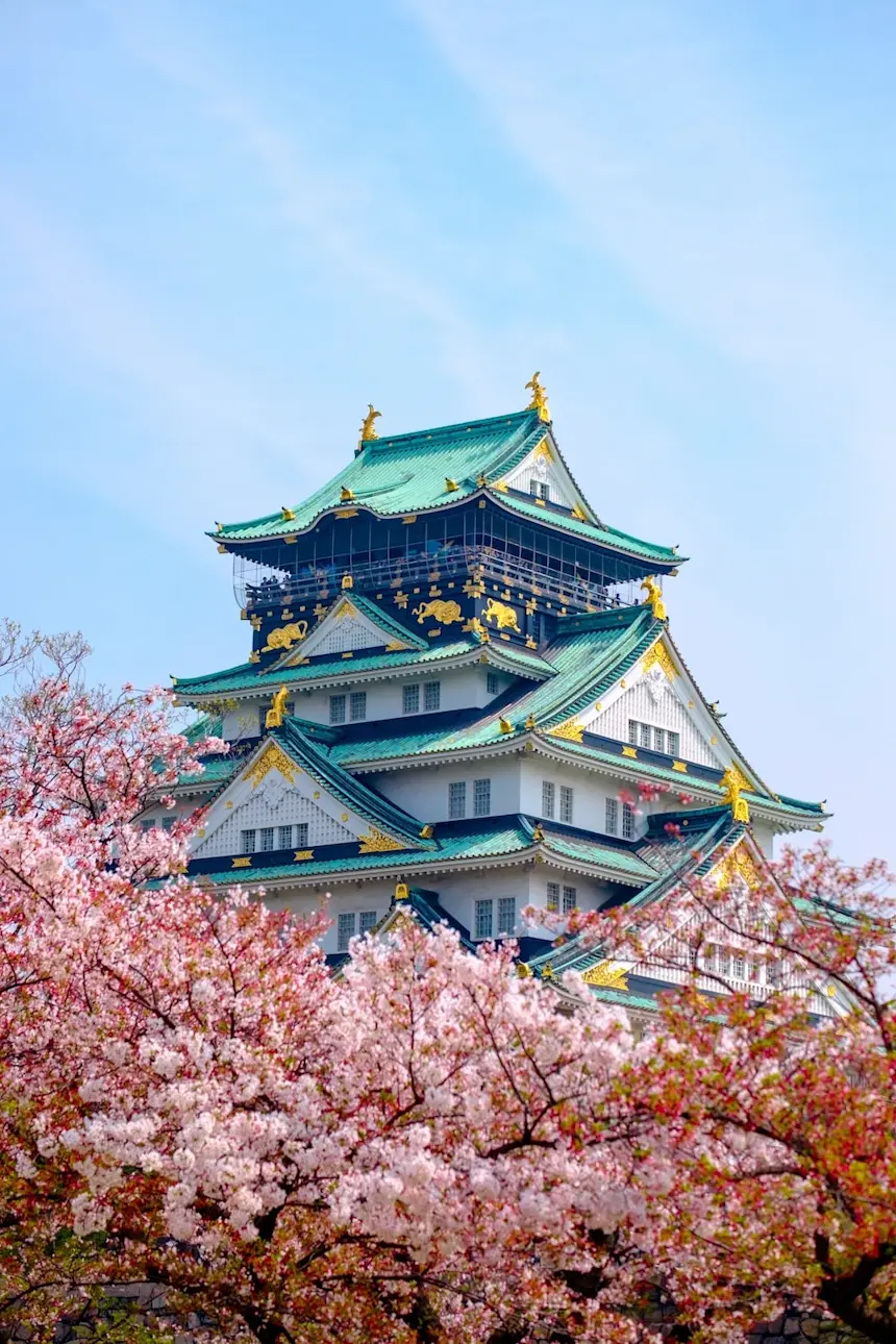 Cherry Blossom Season Japan 2025 Forecast: Best Times to Go (28 Feb Update)