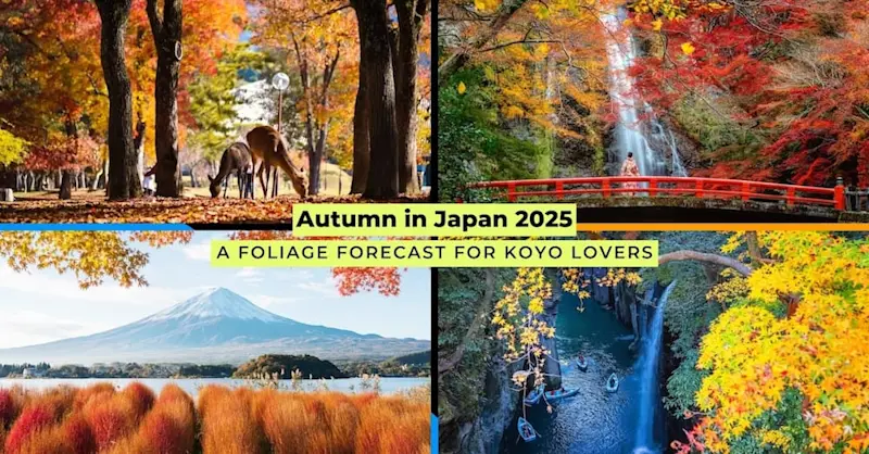 Collage of Japan’s autumn 2025 scenery with deer in Nara, waterfalls, Mount Fuji, and Takachiho Gorge framed by fall foliage