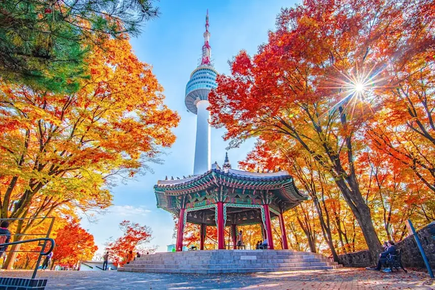 Autumn in Korea 2025: Best Time & Things To Do (Sept Update)