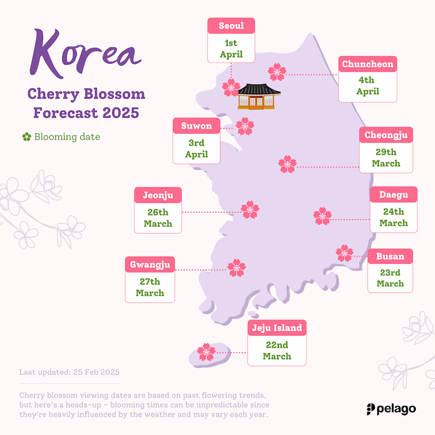 https://images.ctfassets.net/dsbipkqphva2/6Kfoe9izvKuMnSIkJpnJTz/4c717b0dff06d36e2f713dd67ab3bad6/korea-cherry-blossom-forecast-25-February-2025-update-pelago.png?fm=webp&w=860