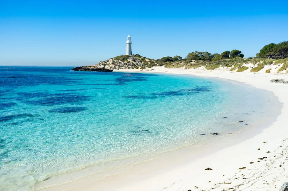 best-rottnest-island-tours-australia-pelago