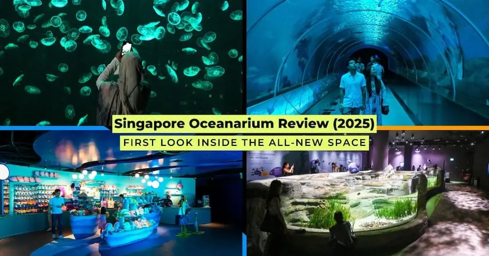 Collage of jellyfish tank, underwater tunnel, retail store, and touch pool at the newly revamped Singapore Oceanarium in 2025.