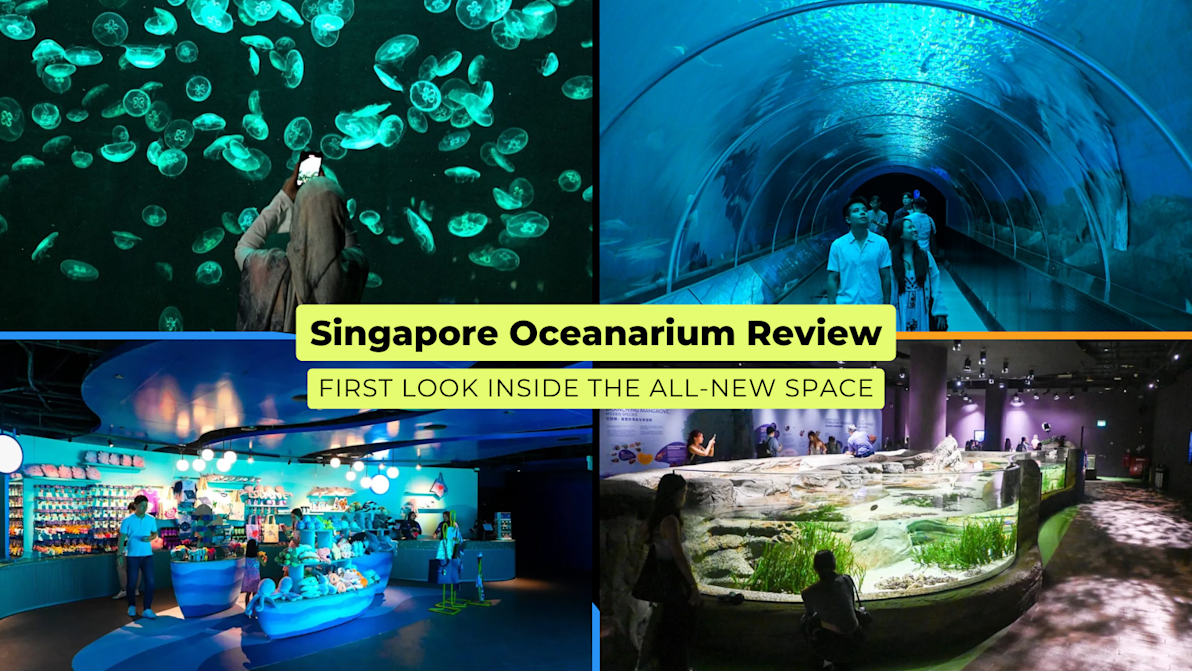 Collage of jellyfish tank, underwater tunnel, retail store, and touch pool at the newly revamped Singapore Oceanarium in 2025.