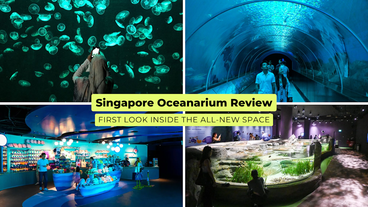Collage of jellyfish tank, underwater tunnel, retail store, and touch pool at the newly revamped Singapore Oceanarium in 2025.
