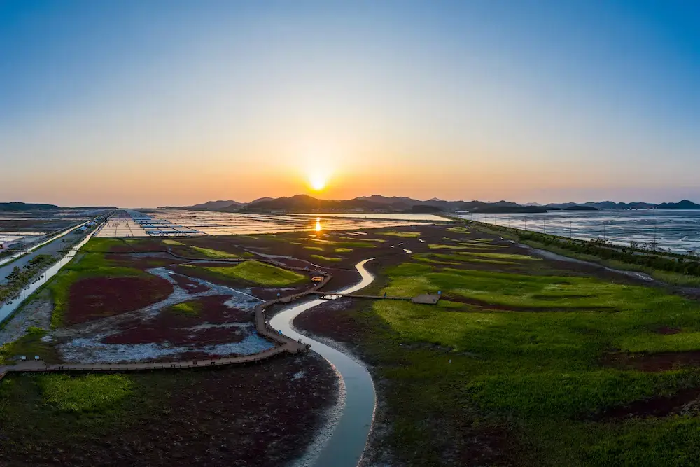 aerial view of taepyeong salt botanical garden at sunset