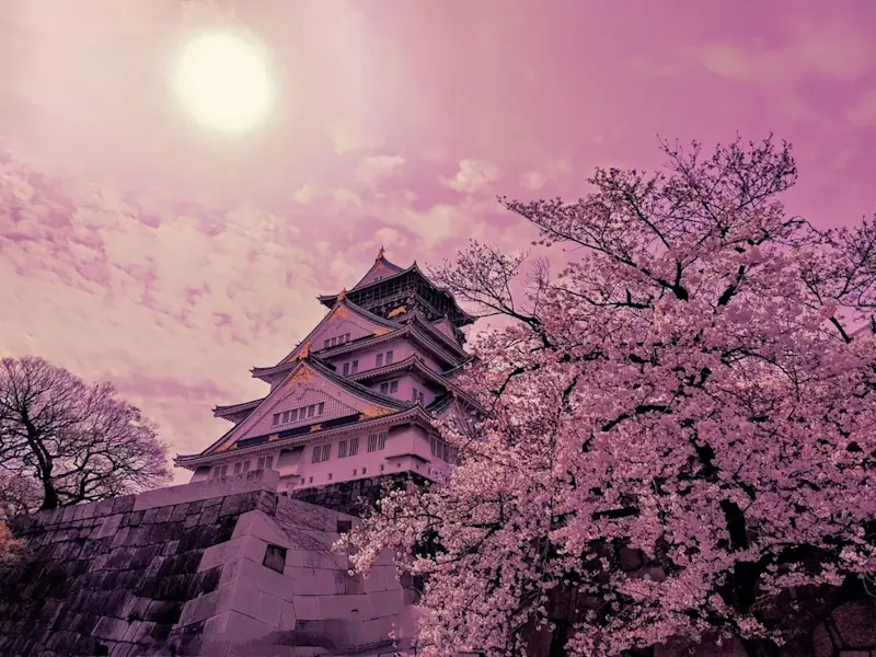 Front view of Osaka Castle in Japan