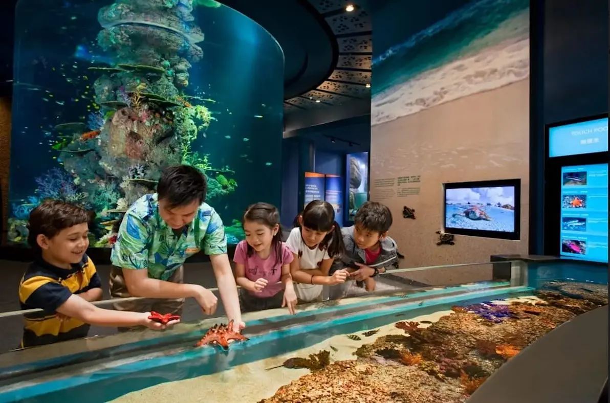 sea-aquarium-singapore-pelago-1