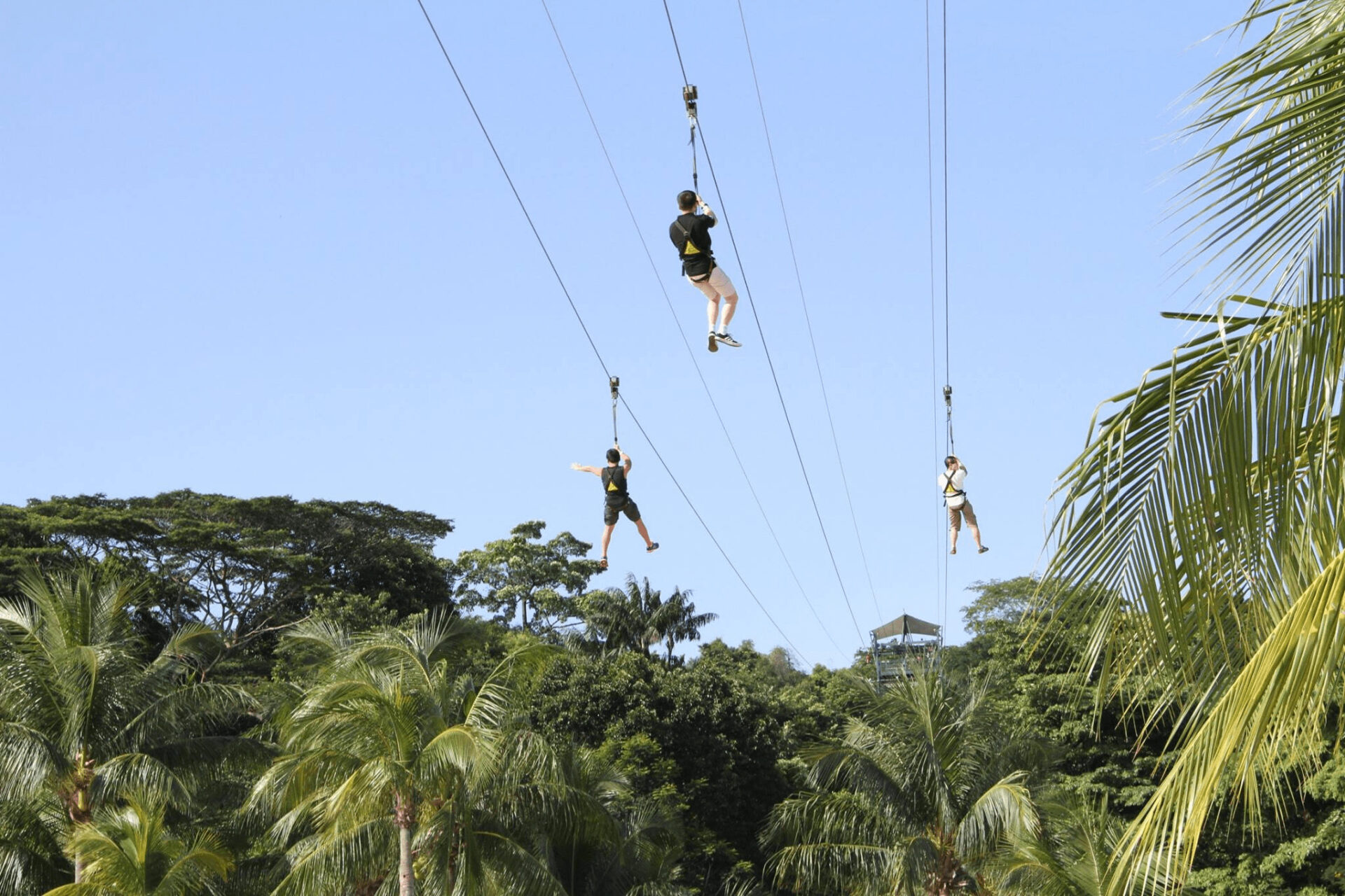 Singapore's Best Adventure Activities - Urban Adventures