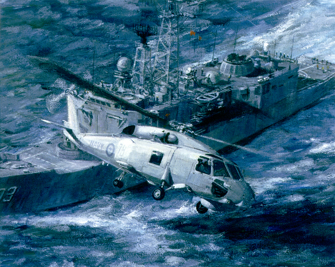 RAN Seahawks over HMAS Sydney