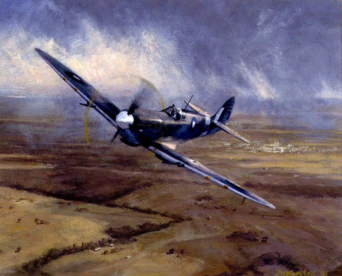 Australia's only airworthy Spitfire Mk VIII