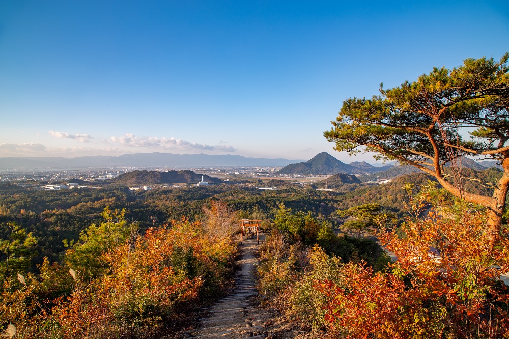 滋賀県 臥龍の森