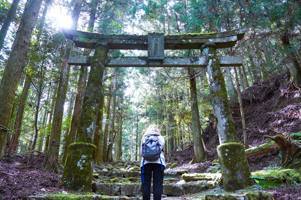 豊前市 求菩提山