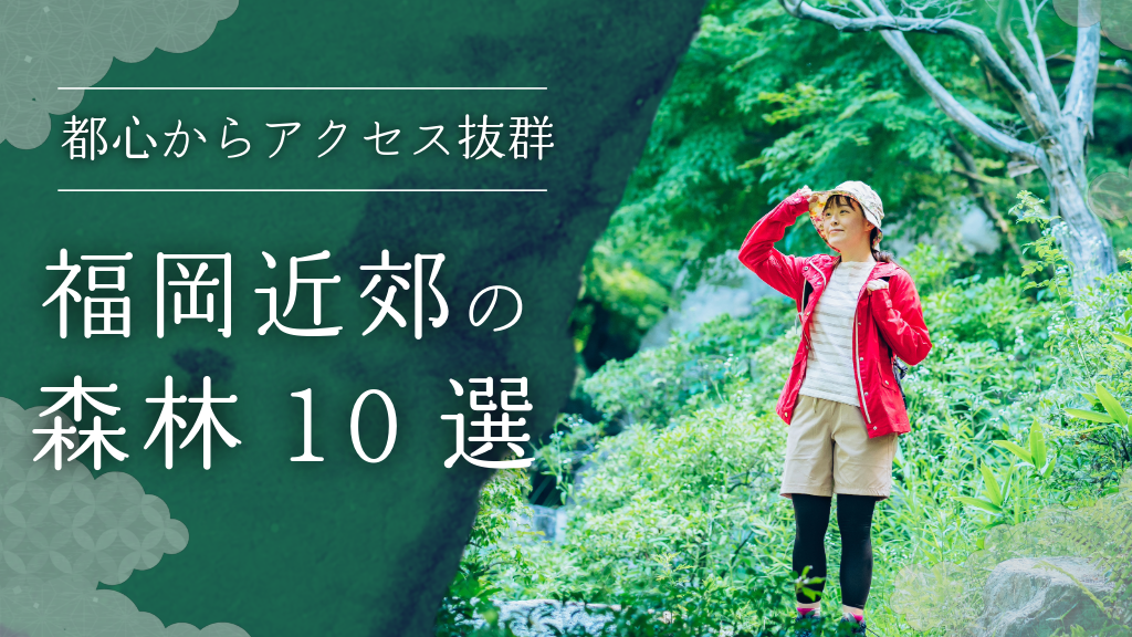 【中古】 播磨ハイキングを楽しむ 植物群生地、渓谷、城跡、低山、里山、公園をめぐる/牧歌舎/柴田泰典 20220519_01-336x216.jpg