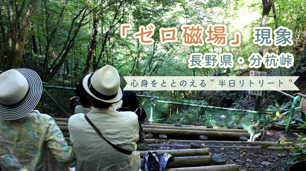 長野県ゼロ磁場分杭峠の碧い石 330px-分杭峠石碑.JPG