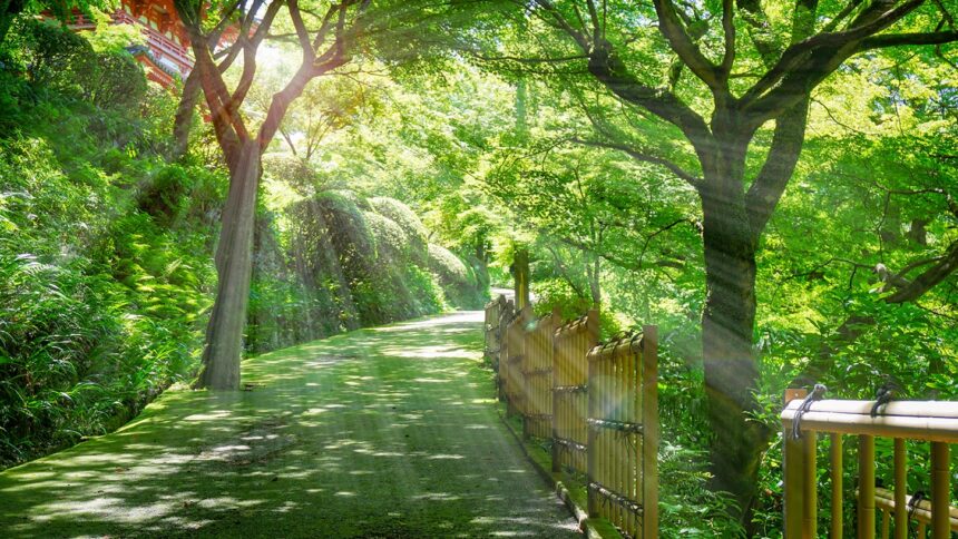【関東の『森林浴の森100選』】都内・首都圏からアクセスしやすい森16カ所 | 日本全国の森林ポータルならmoricrew