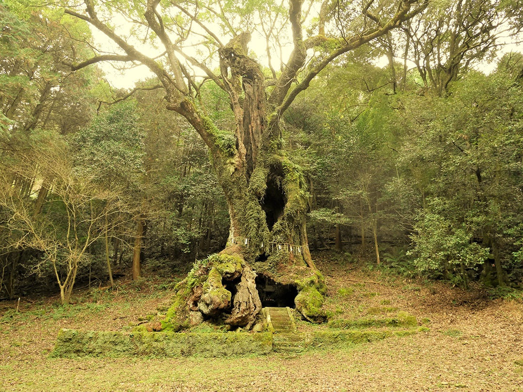 4 武雄神社