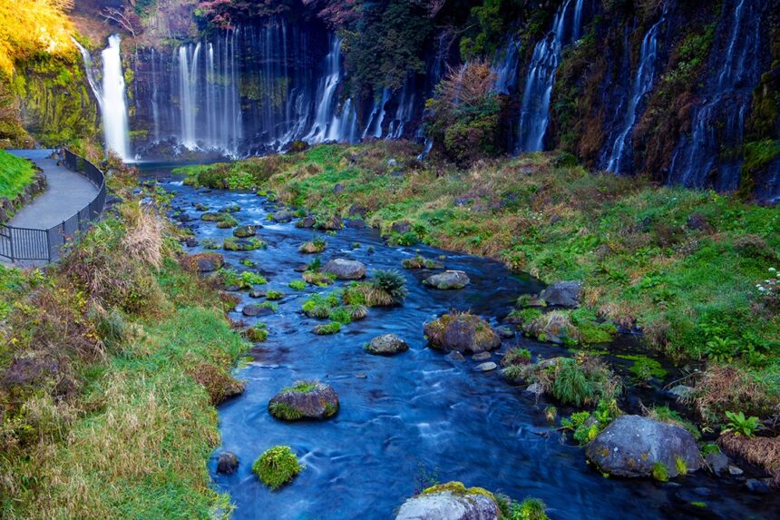 【2021年日帰りで桜・滝・高原を周る】静岡県富士宮市を満喫する「富士の巻狩りコース」 | 日本全国の森林ポータルならmoricrew