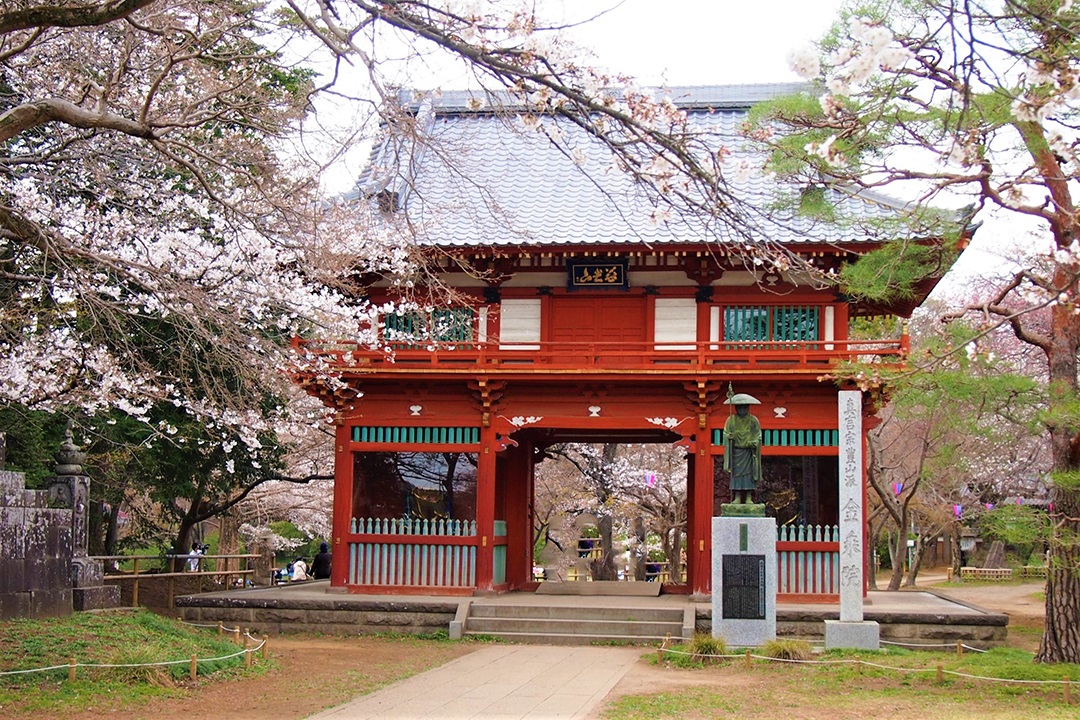 4 清水公園