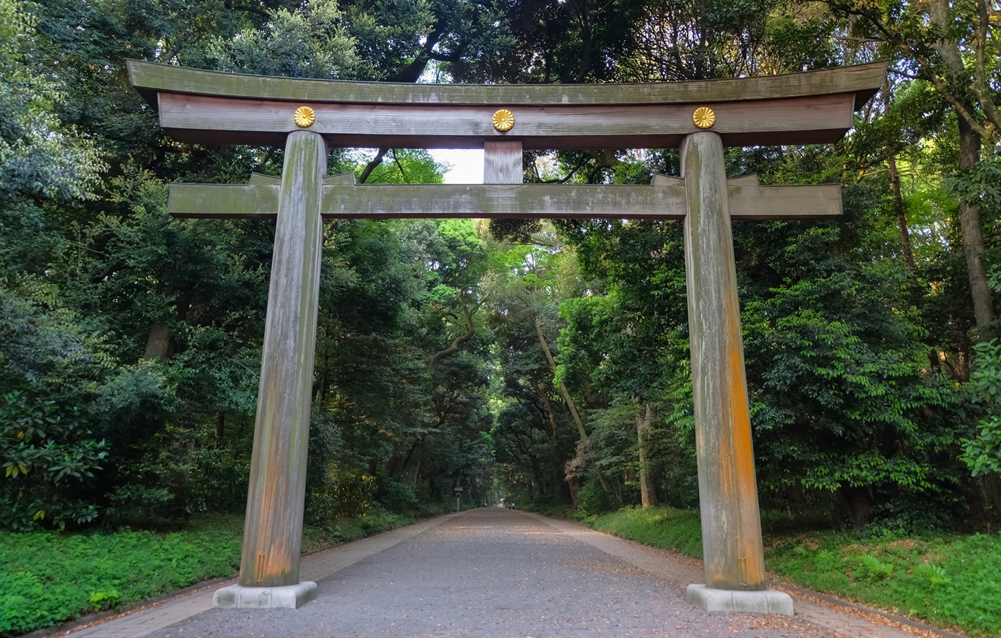 10 鎮守の森-明治神宮