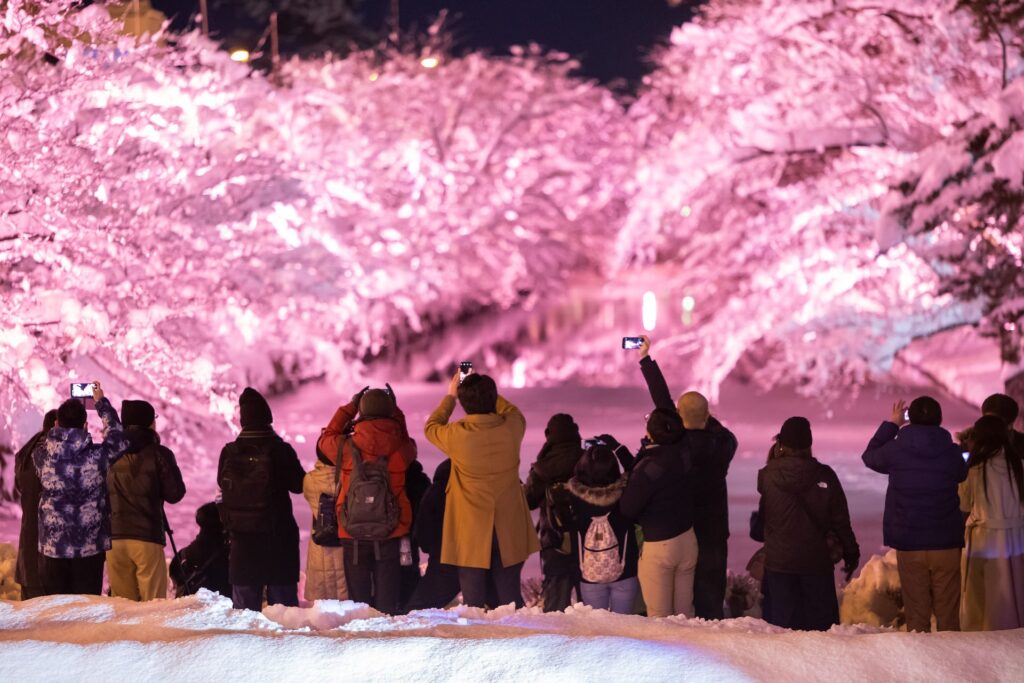 4 桜守