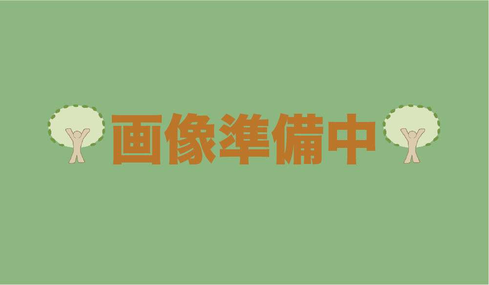 5 笠置キャンプ場(木津川畔)の桜