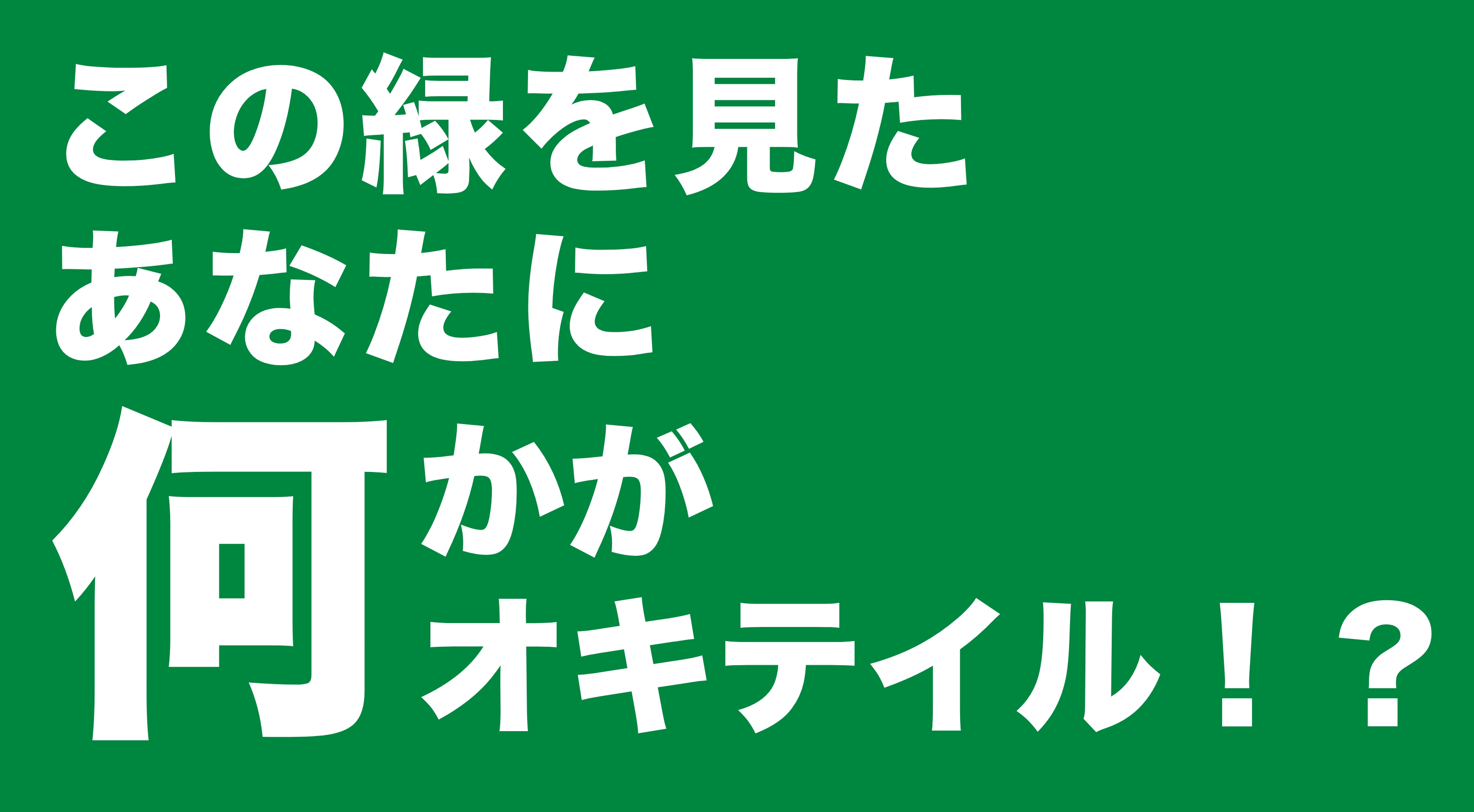 森林浴の驚くべき効果！緑の光とフィトンチッドがもたらす恩恵