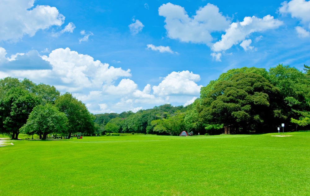 愛知県森林公園