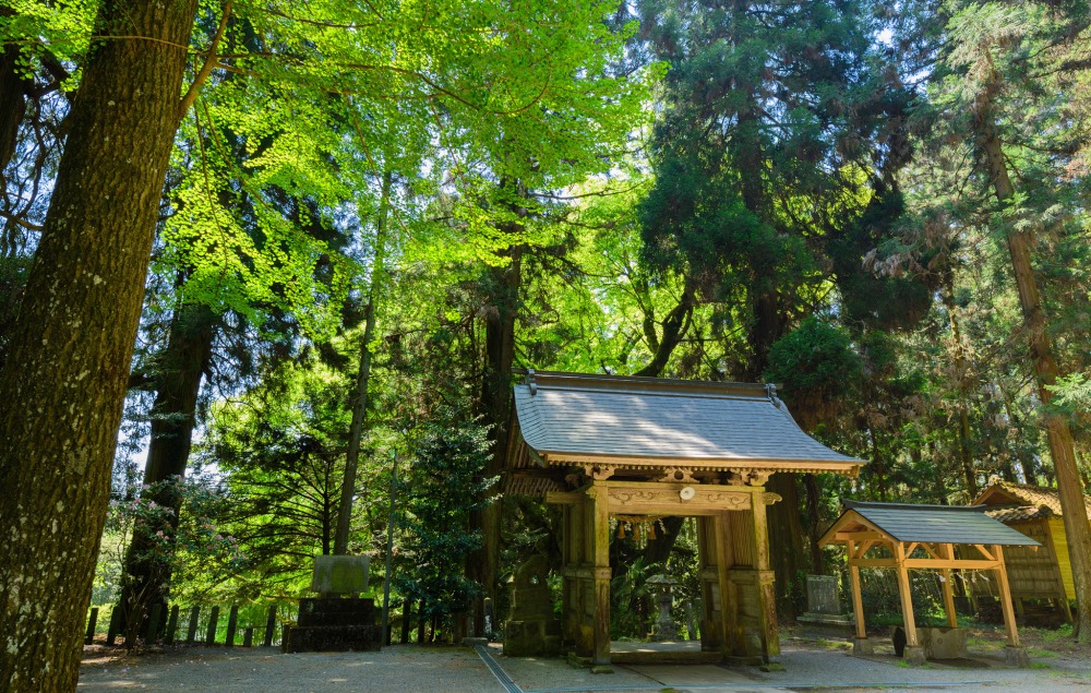 武田神社