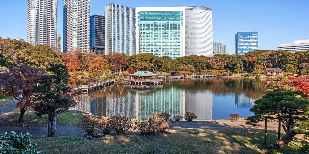 hamarikyu