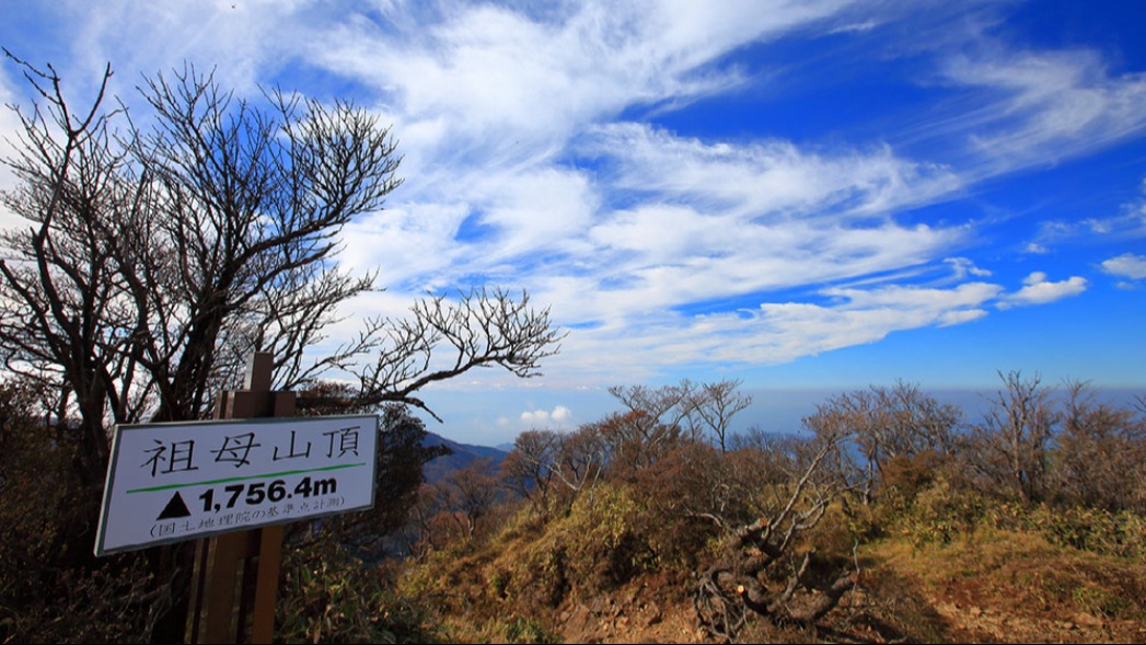 オファー 祖母 山 バス