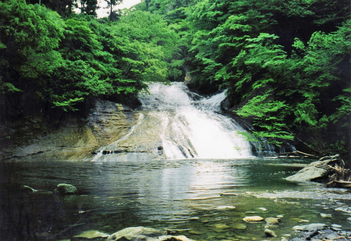 2 粟又の滝（養老の滝）