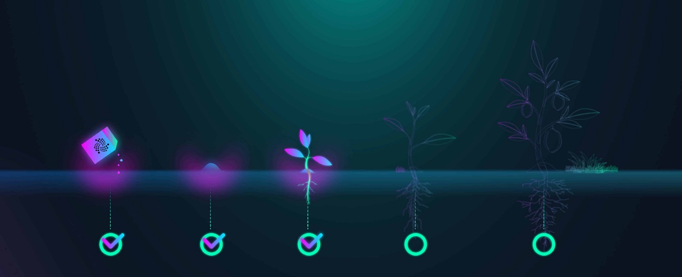 IOTA lifecycle
