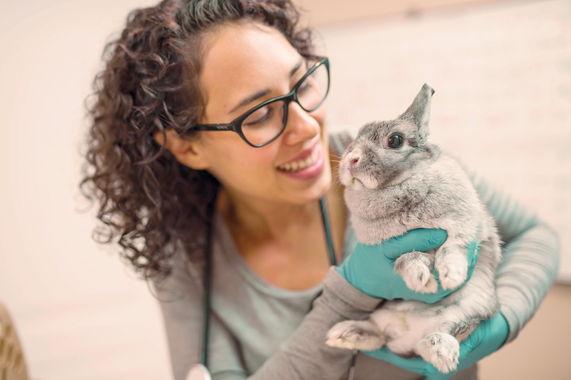A vet holding a bunny