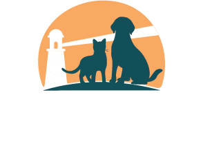 Southshore Animal Hospital