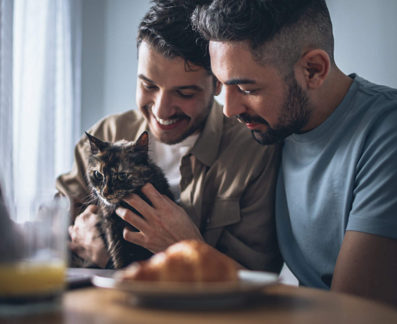 MASTER - PetOneVet.com - Image Photo - Two men touching a cat