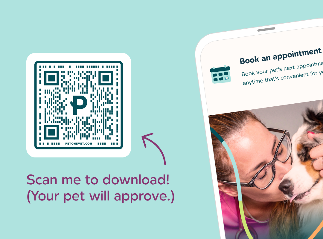 Scan the QR code to download the PetOne Veterinary app