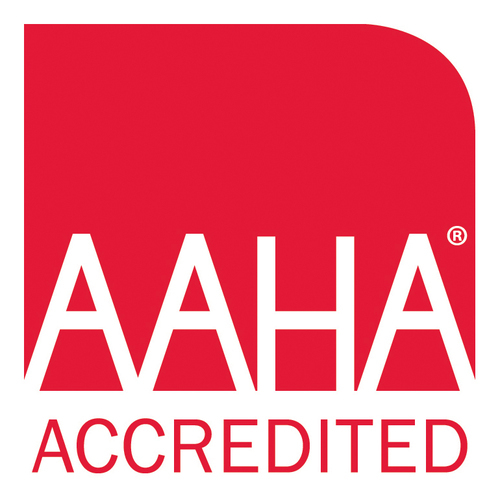 Logo AAHA