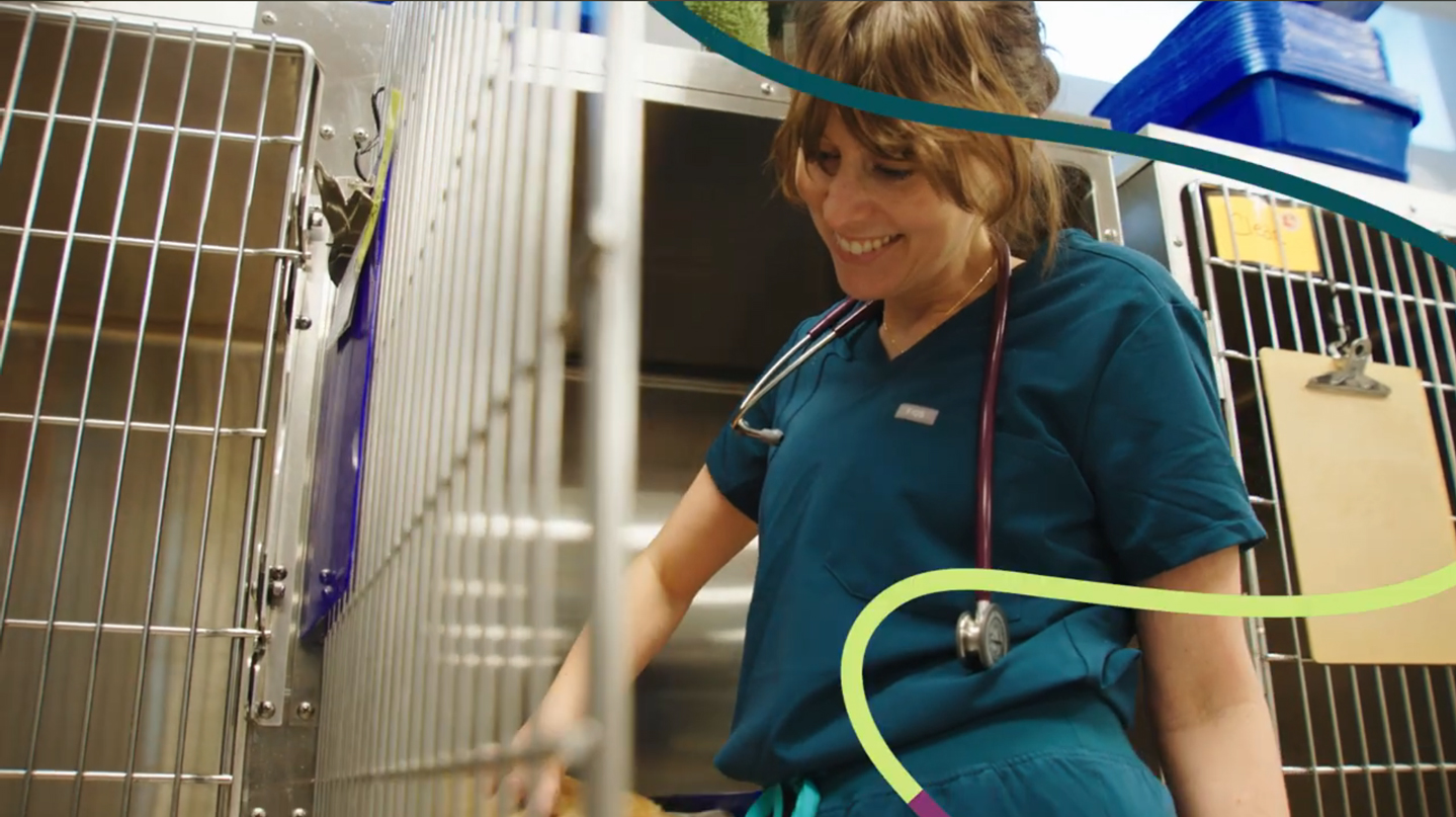 Bayside Animal Hospital, A PetOne Veterinary Hospital