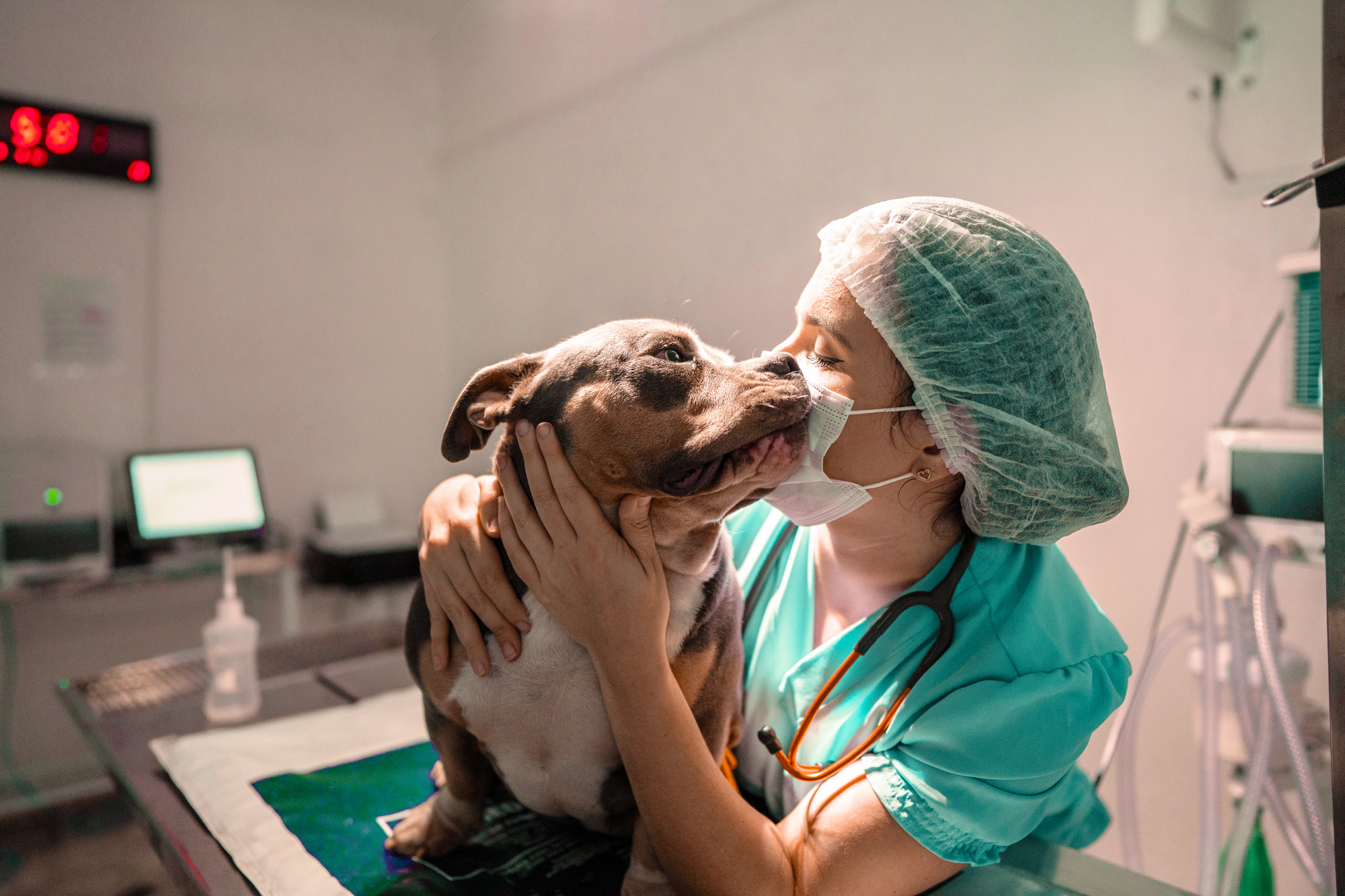 A vet in a mask petting a dog