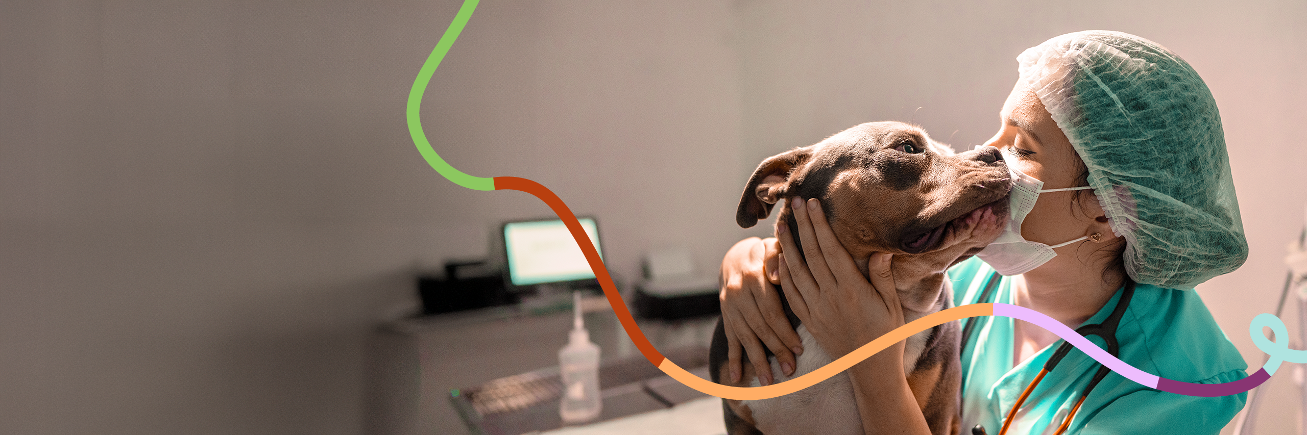 Bayside Animal Hospital, A PetOne Veterinary Hospital