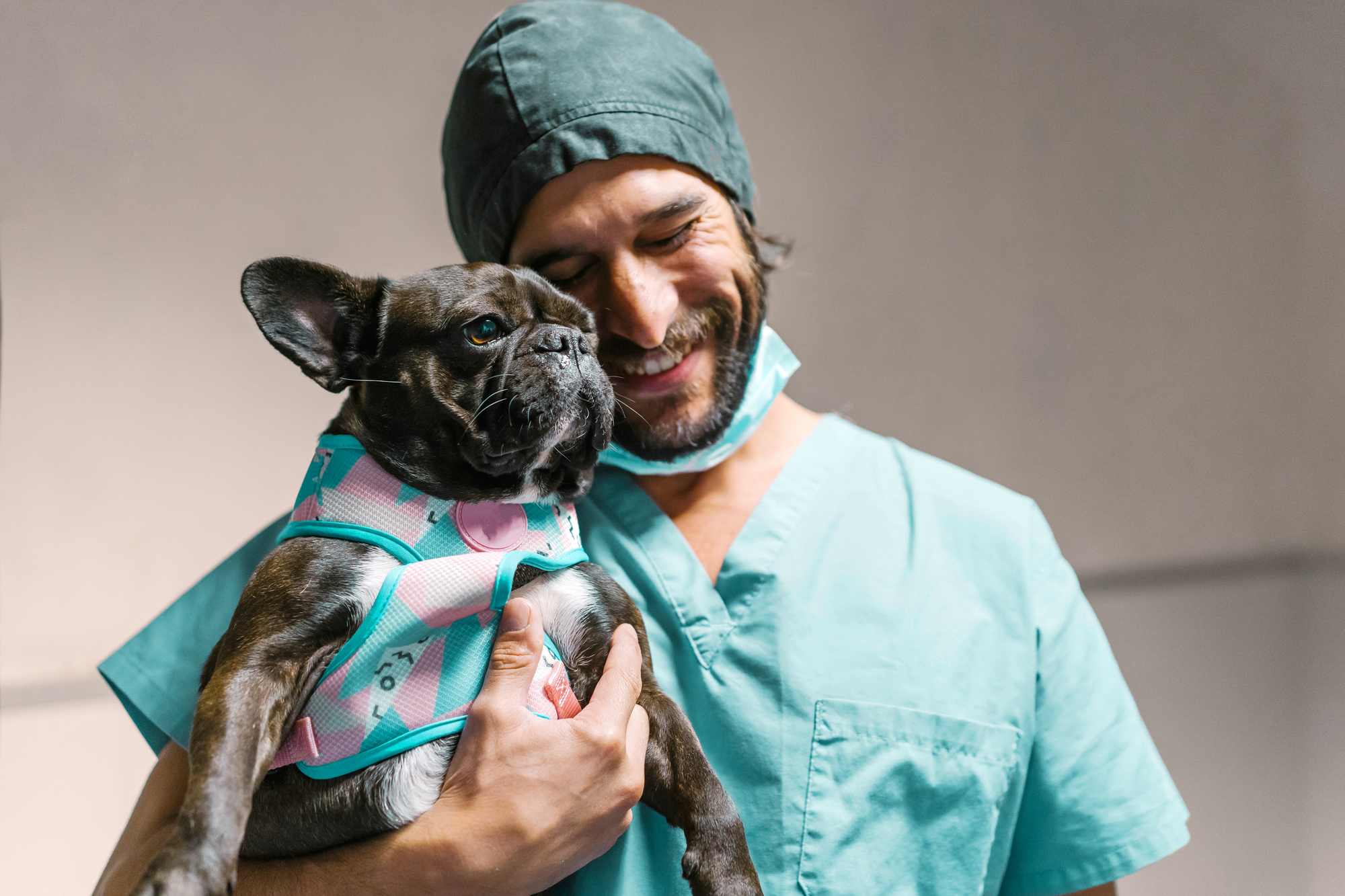 MASTER - PetOne - Image - Veterinary - Brown Dog and Vet