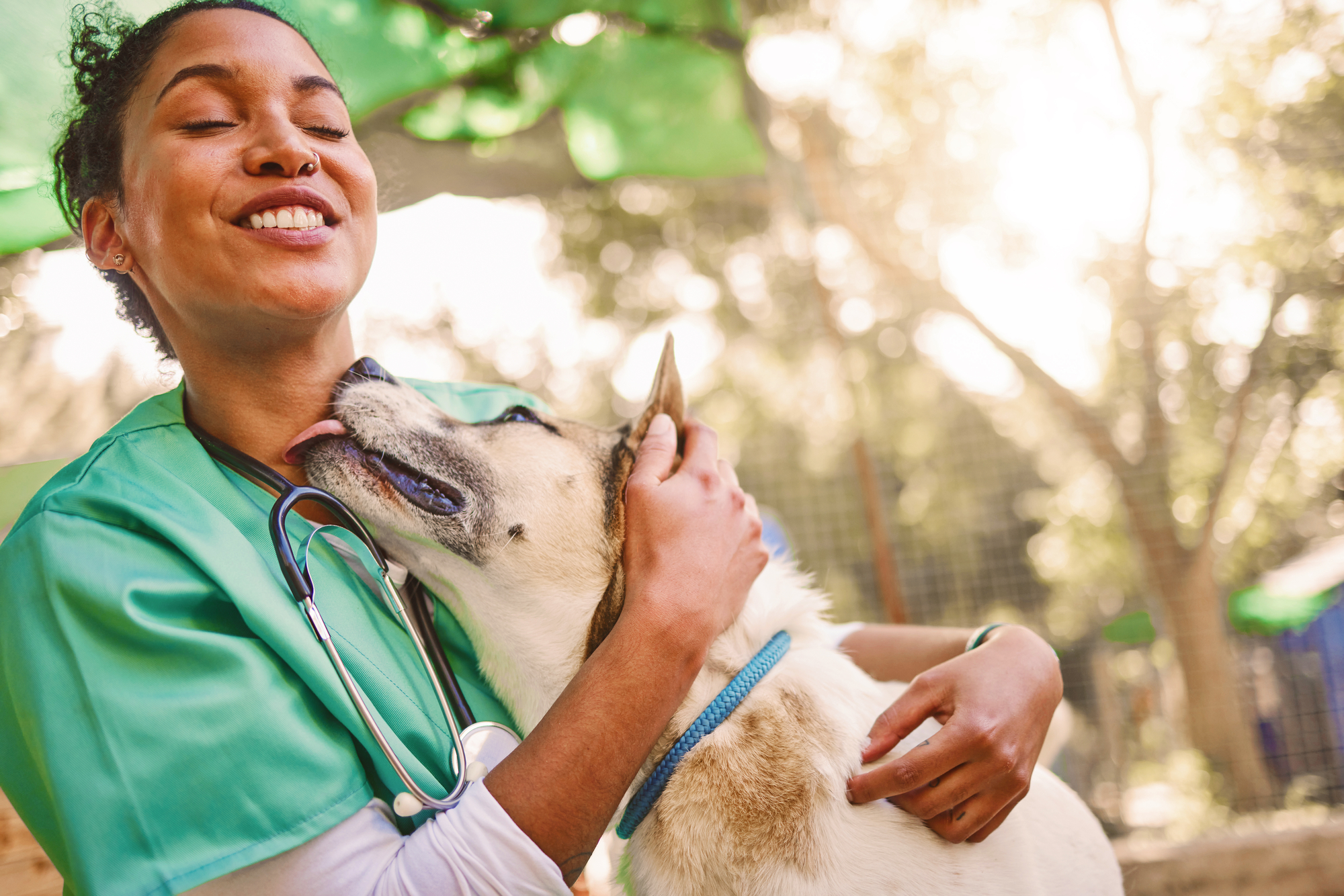 A vet petting a white dog
