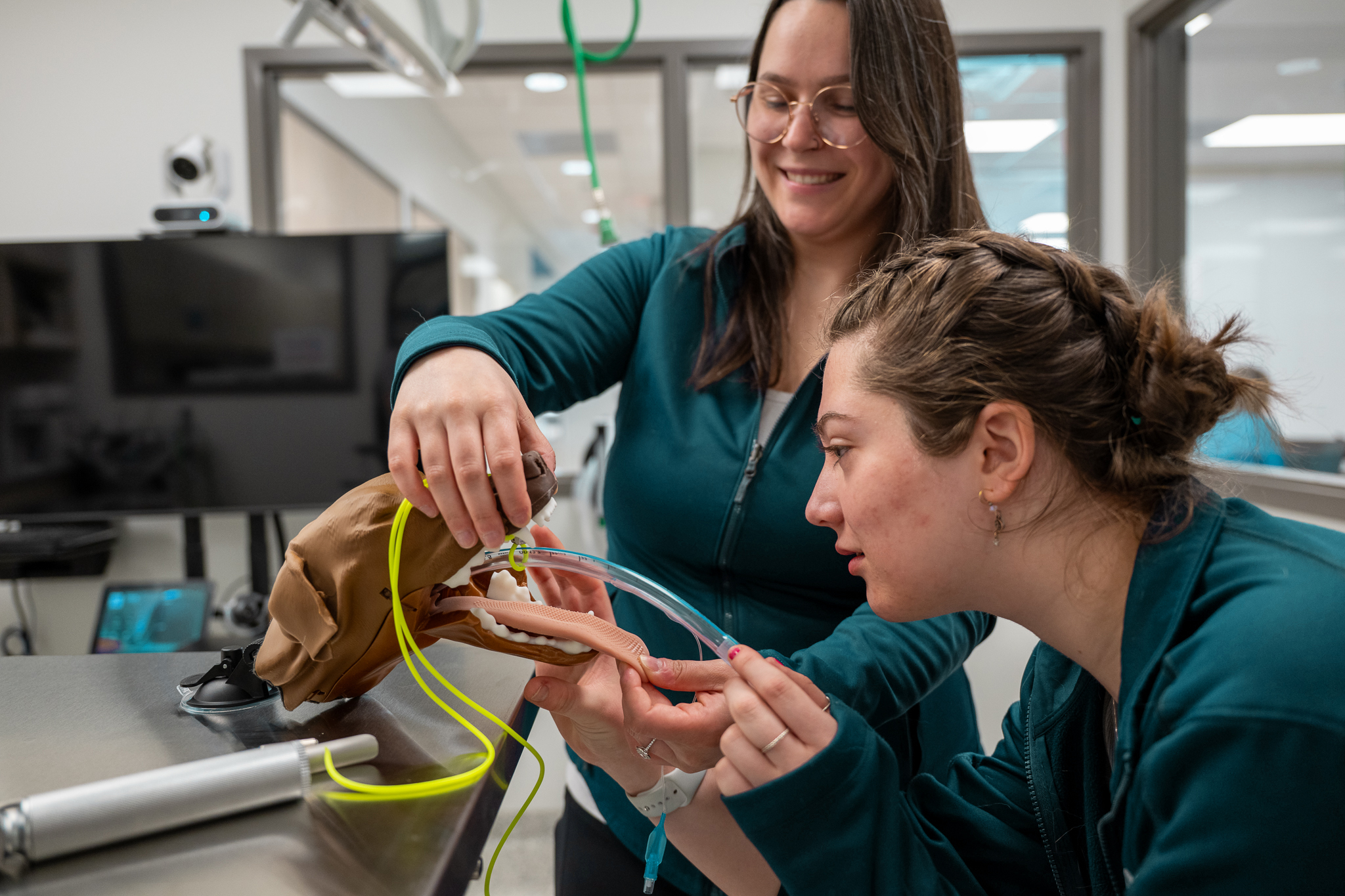 Two veterinary professionals training to intubate a dog using a model of a dog's head